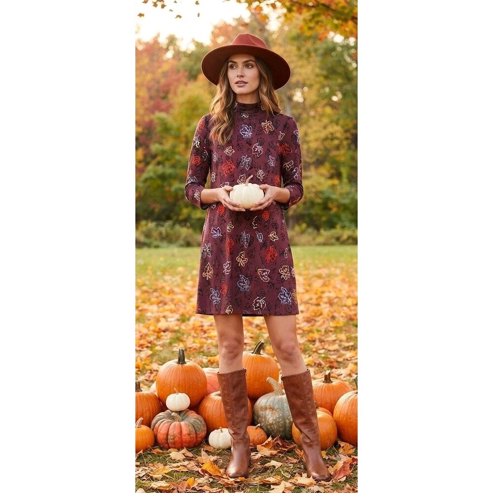 Celebrate Together Women's Size M fall  Dress NWT